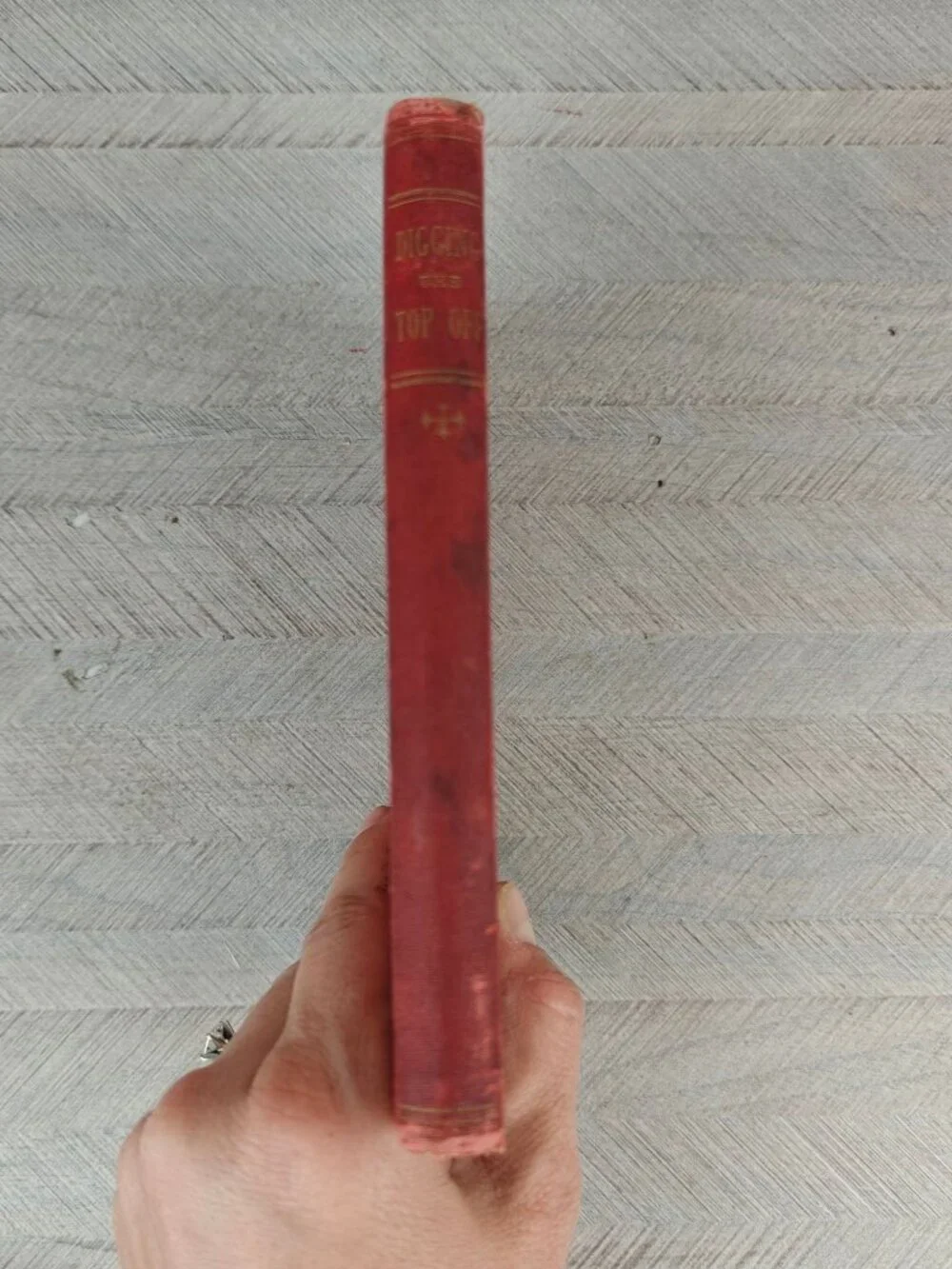 Digging The Top Off Mrs. Emma Hildreth Adams Hardcover Antique 1887